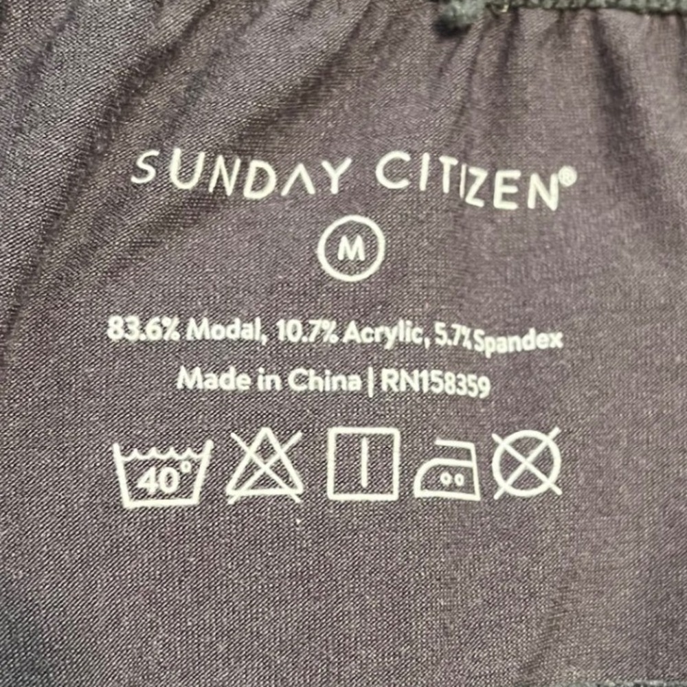Sunday Citizen Lounge Pants Joggers Gray Casual Comfy Pockets Quiet Luxury - Picture 4 of 11